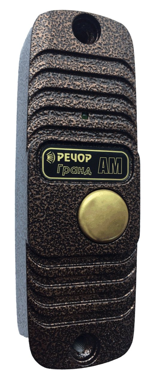 Абонентский модуль РЕЧОР АМ