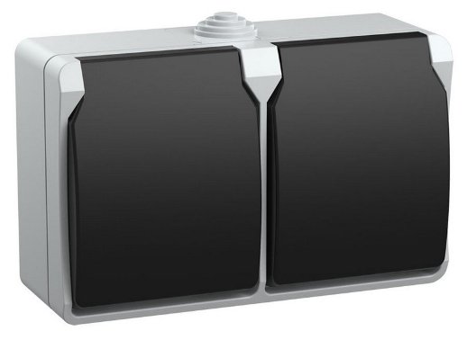 Розетка 2местн. ФОРС IEK РСб22-3-ФСр (ERS22-K03-16-54-DC)