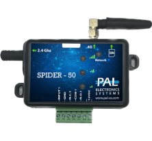 SPIDER 50