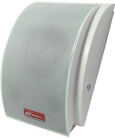 Громкоговоритель JDM WS-110W