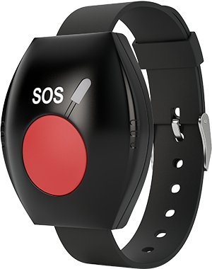 Радиопередающее устройство Ритм BRC-L (868МГц)