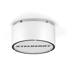 Stelberry F-306W