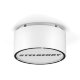 Stelberry F-310W