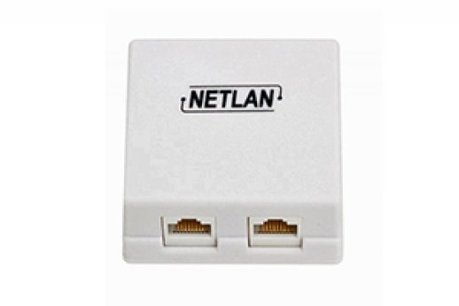 Розетка информационная настенная NETLAN EC-UWO-2-UD2-WT-10 (10шт)