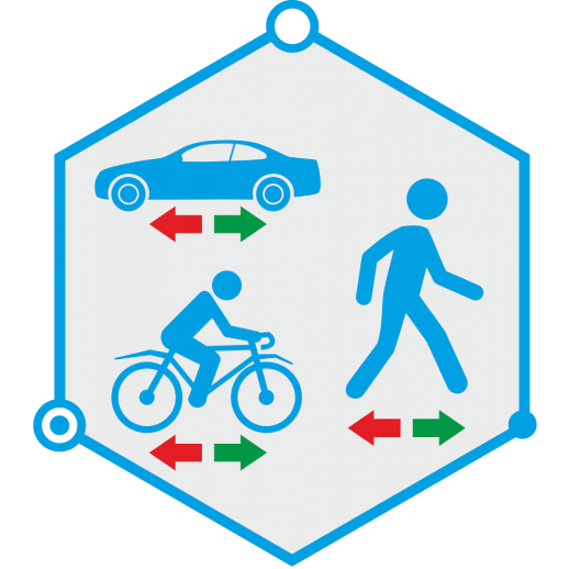 Программное обеспечение для IP-систем видеонаблюдения DSSL TRASSIR Direction Detector