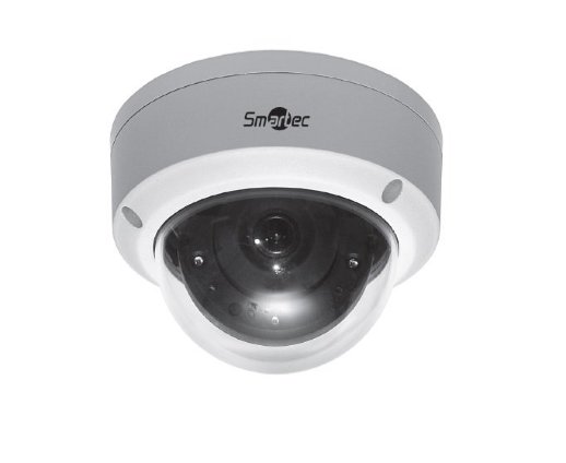 Видеокамера IP купольная Smartec STC-IPMA5520A/1