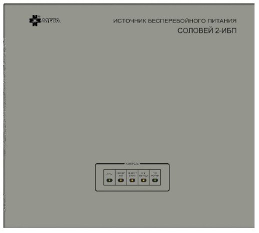 Источник бесперебойного питания Мета Соловей2-ИБП