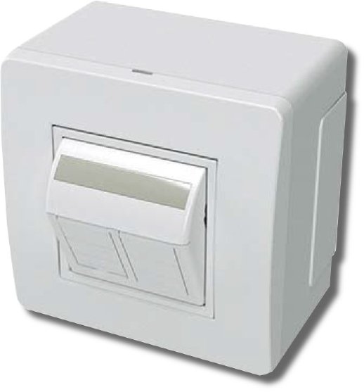 Коробка в сборе ДКС Коробка в сборе с 2 розетками RJ45, кат.5е, белая (10656)