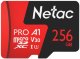 NT02P500PRO-256G-S