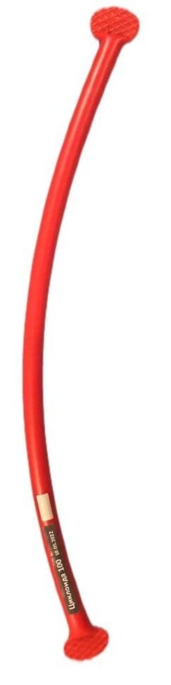 Циклоида 100