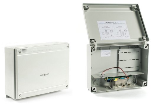 Источник вторичного электропитания резервированный Бастион СКАТ 1200 исп.6 (121)