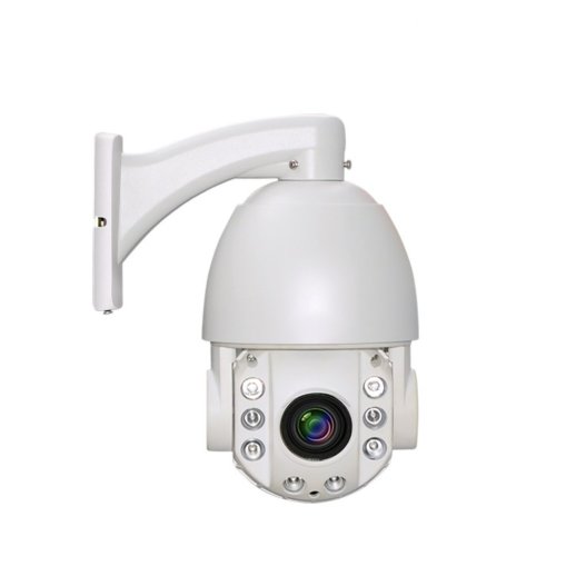 Видеокамера IP поворотная Alteron KIP91