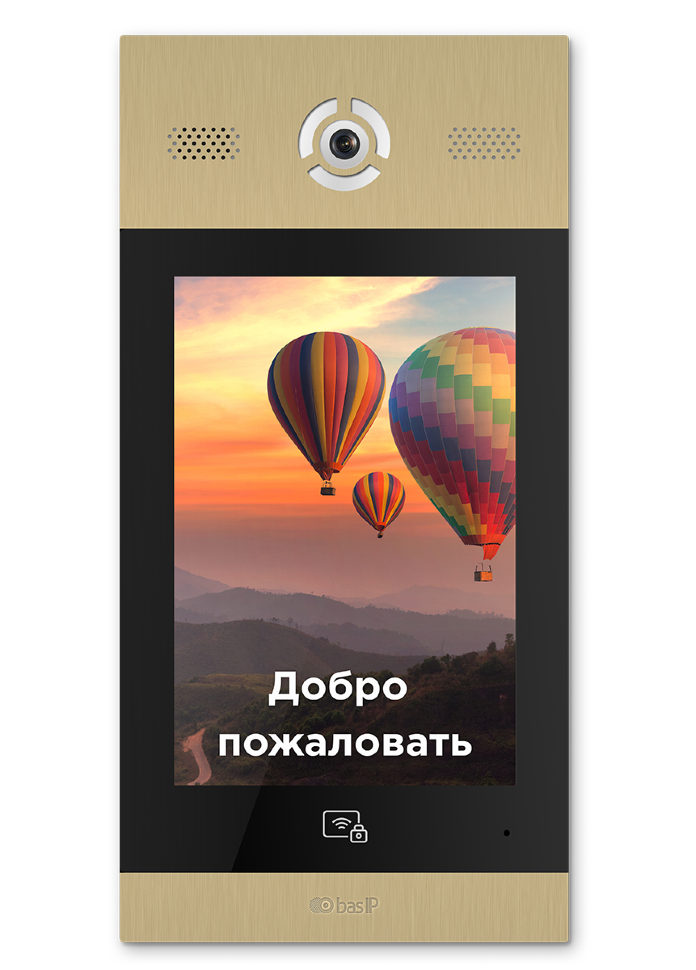 <span style="color: #000;">IP-домофония BAS-IP</span>
